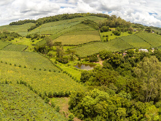 House, Vineyards and lake in valley