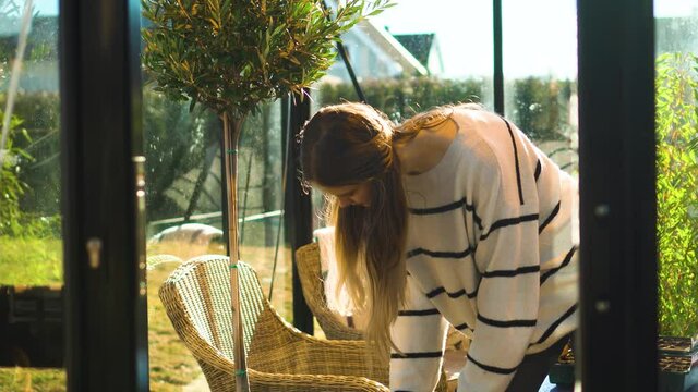 Young woman watering olive tree in a beautiful greenhouse in a suburbian garden