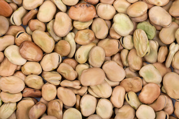 raw broad beans place for text
