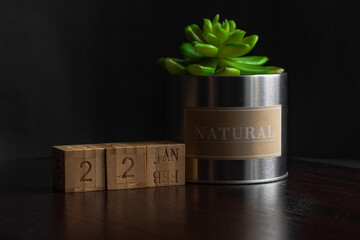 Jan 22st. Image of Jan 22 wooden cube calendar and an artificial plant on a brown wooden table reflection and black background. with empty space for text