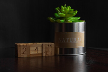 Jan 24st. Image of Jan 24 wooden cube calendar and an artificial plant on a brown wooden table reflection and black background. with empty space for text