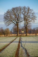 Obraz premium Hochsitz im Winter