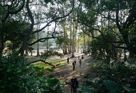 shing mun reservoir, Tsuen Wan, Hong Kong