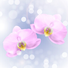 Fototapeta na wymiar Realistic 3d orchid flower glossy background. Vector Illustration EPS10