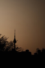 Obraz premium Seoul N tower