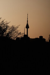 Seoul N tower