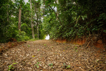 Estrada rural em Guarani, estado de Minas Gerais, Brasil