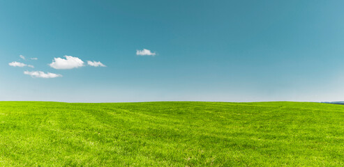 Weiße Wolken in blauem Himmel über Grüner Wiese