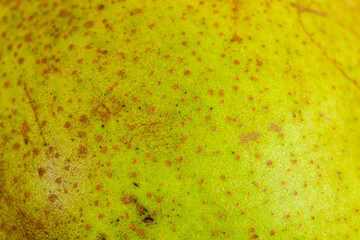 Pear Skin Texture, Macro Texture of a pear skin, Green and brown Macro texture of a pear in natural...