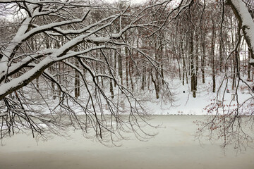 zima © kolorowekadry