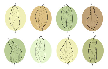 Set of Decorative Leaves. Swatches Color and Shape Leaves. Hand drawn decorative elements. Natural colors.Ink painting style.Minimalistic elegant concept. Vector illustration.Isolated shapes on white