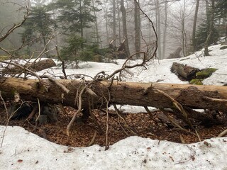 Samarske stijene natural park in Croatia, landscape