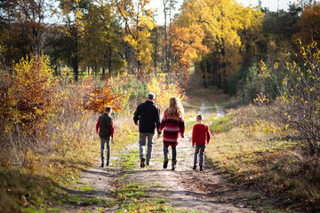 Eine Familie aus vier Personen geht durch ein Herbstwald spazieren. Man sieht sehr viel vom Location, Die Familie ist weit entfernt und die sieht man nur von Hinten, Der Walt ist farbenfroh.