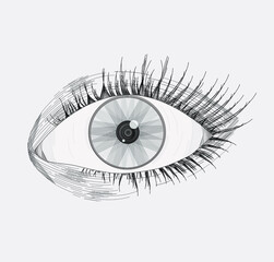Vector illustration of a realistic left eye, with lashes, made and shaded based on lines, isolated on a light gray background