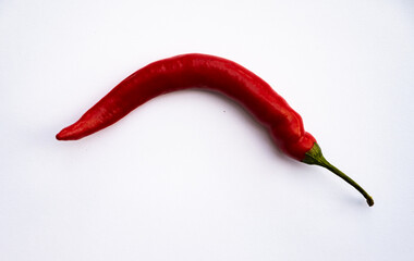 Einzelne Chilli auf weissem Hintergrund