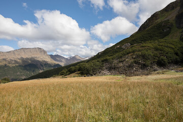 Summer in the mountains. View of the cordillera, forest and golden grassland in a summer sunny day. 