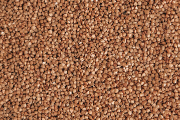 Buckwheat as a background texture. Top view. Copy, empty space for text