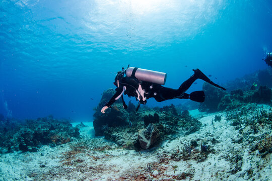 scuba diver and reef