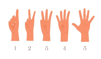 Set of fingers. first, second,  third, fourth, fifth, one, two, three, four, five fingers. Hand showing counts with fingers vector illustration. Showing  the numbers with the fingers of the hand