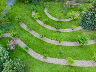 Aerial top down view to small green square with young cherry trees