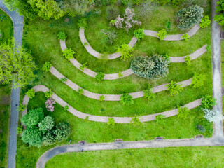 Aerial top down view to small green square with young cherry trees