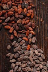 Raw cocoa beans two types Venezuela on brown background