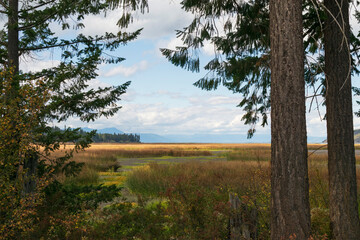 Fototapeta na wymiar Autumn at Eagle Ridge Trail, Klamath County, Oregon, overlooking Shoalwater Bay.