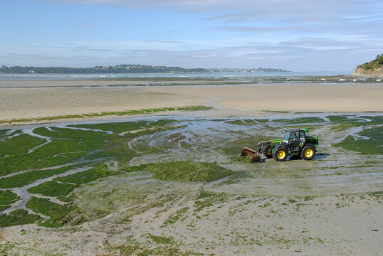 Ramassage algues vertes sur la plage en Bretagne