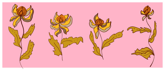 vector flower set isolated objects