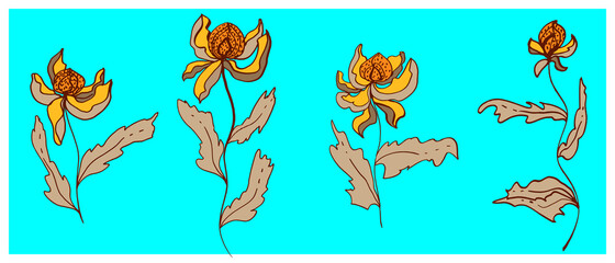 vector flower set isolated objects
