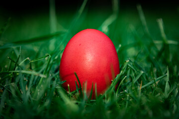 Red Easter Egg in green grass arranged with daises.Christian religious holiday.