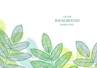 Floral vector template with leaves. Plant print for holiday poster, greeting card, cover, banner, invitation. Natural trendy design. Textured background. Botanical art.