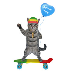 A gray cat in a protective helmet with a blue balloon is riding a skateboard. Active life. White background. Isolated.