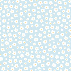 White flowers on blue background