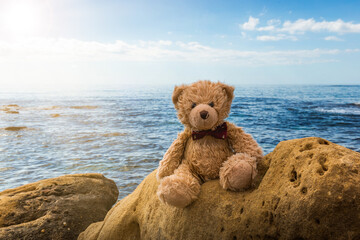 Teddy bear sitting on stone. Coast of south sea.