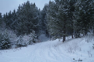 Siberia. Ust-Ilimsk. The arrival of winter.