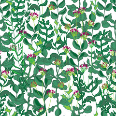  seamless pattern herbs, branches, flowers and stems with leaves.Botanical forest illustration. Background, wallpaper, fabric, textile, packaging, paper