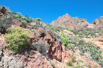 mountain world of Gran Canary, Spain