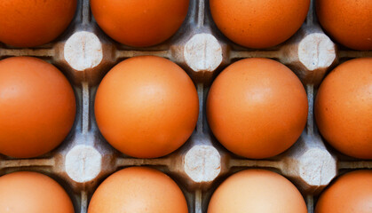 brown chicken eggs in cells. breakfast food. background for decoration for the Easter holiday.
