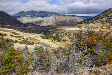 Stunning scenery along the Patagonia National Park, Aysen, Patagonia, Chile