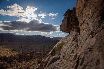 cloudy day in the mojave desert 