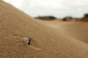 sunken clock in the sand on the beach