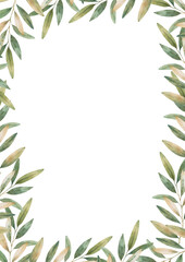 Watercolor background with black and green olives. Hand drawn illustration on white background
