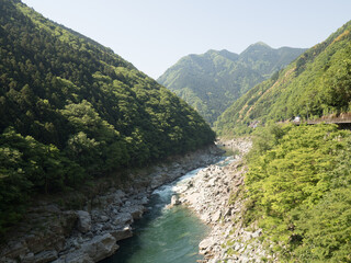 Fototapeta na wymiar Río Yoshino, en el Valle de Iya, isla de Shikoku, Japón