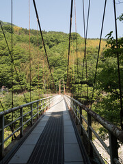 Puente sobre el río Yoshino, en el Valle de Iya, en la isla de Shikoku, Japón