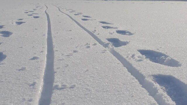 Sled tracks and footprints of two person on the snow