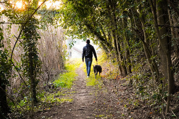 A young boy walks with his dog on a path through the forest