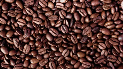 Fotobehang Koffiebonen coffee grains  © alejandra