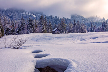 Winter - Stadel - Allg&auml;u - Oberjoch - Bach - Schnee 