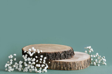A minimalistic scene of a felled tree lies with flowers on a natural background. Catwalk for the presentation of products and cosmetics. Showcase with a stage for natural products. Empty space